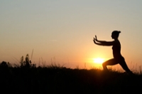 Advanced Tai Chi
