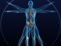 Healthy Bones & Balance