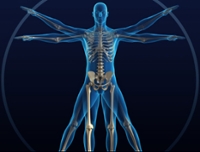 Healthy Bones & Balance