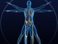 Healthy Bones & Balance