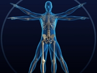 Healthy Bones & Balance