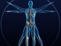 Healthy Bones & Balance