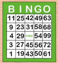 Bingo