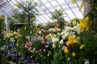 Art Museum and Botanic Garden