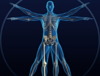Healthy Bones and Balance