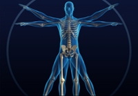 Healthy Bones & Balance