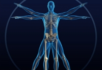 Healthy Bones & Balance 