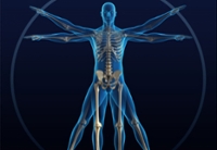 Healthy Bones and Balance