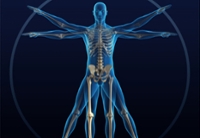 Healthy Bones and Balance