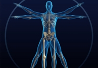 Healthy Bones and Balance