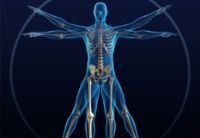 Healthy Bones and Balance