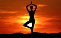 Let's Do Yoga Together with Carol Conz