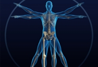 Health Bones and Balance